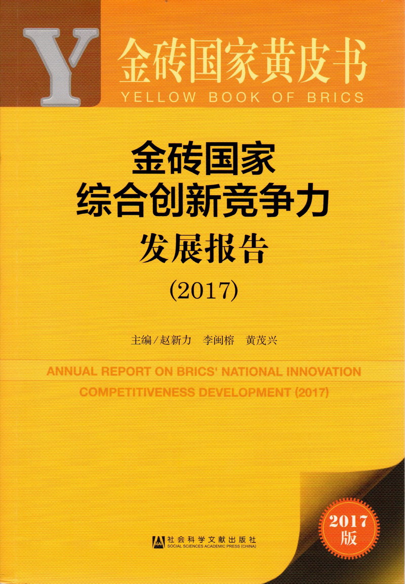 大骚逼视频金砖国家综合创新竞争力发展报告（2017）